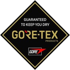 Meeste Gore-Tex mäesuusakindad Ziener Gunar 801083-12737-9.5 hind ja info | Meeste sallid, mütsid ja kindad | kaup24.ee