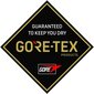 Meeste Gore-Tex mäesuusakindad Ziener Gunar 801083-12737-9.5 цена и информация | Meeste sallid, mütsid ja kindad | kaup24.ee