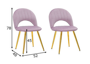 Комплект из 2 обеденных стульев Glam, розовый цвет цена и информация | Стулья для кухни и столовой | kaup24.ee