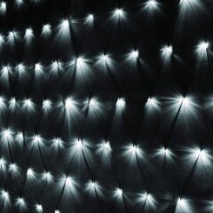 Kardin-võrk 160 LED, külm valge hind ja info | Jõulutuled | kaup24.ee