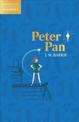 Peter Pan цена и информация | Книги для подростков и молодежи | kaup24.ee