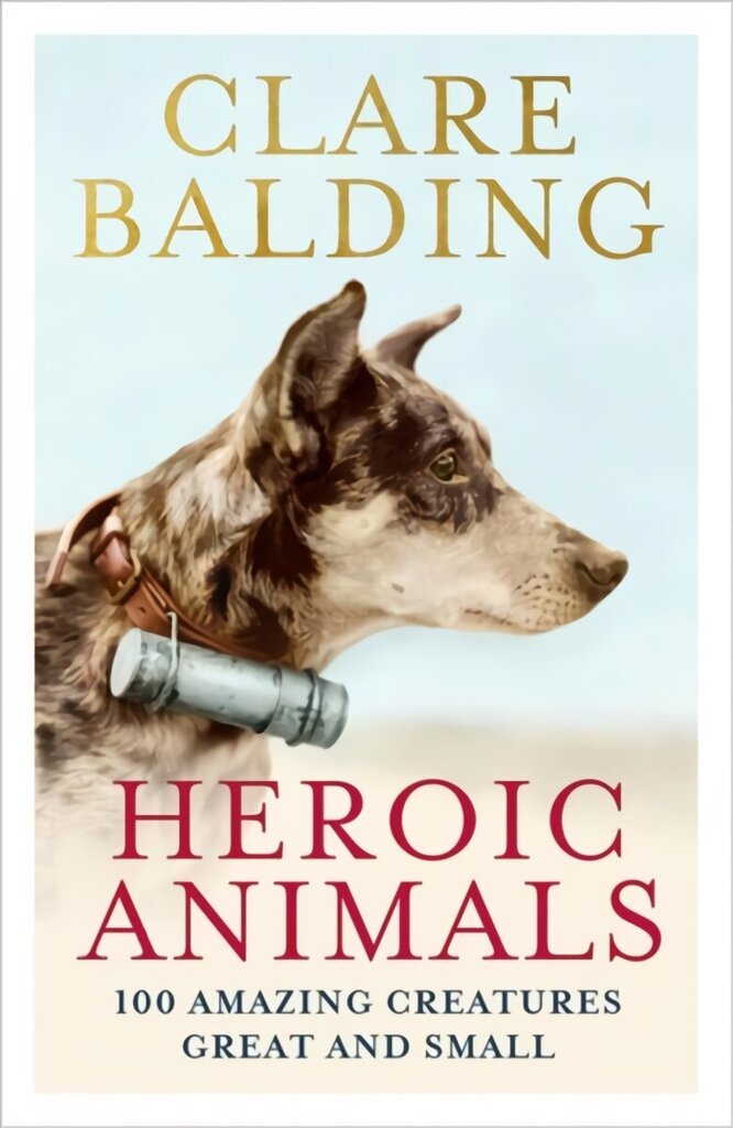 Heroic Animals: Amazing Creatures that Changed Our World hind ja info | Ühiskonnateemalised raamatud | kaup24.ee