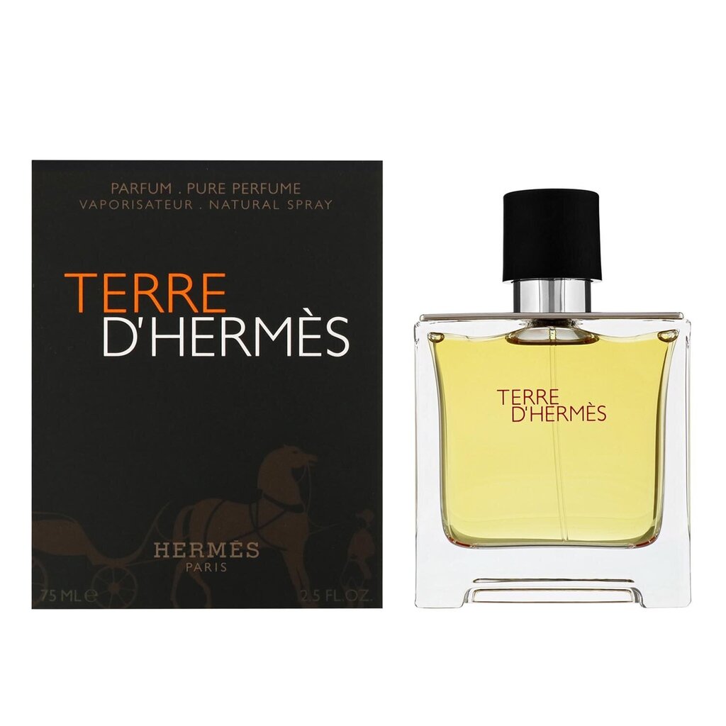 Parfüümvesi Hermes Terre D'Hermes EDP Spray 75 ml. hind ja info | Meeste parfüümid | kaup24.ee