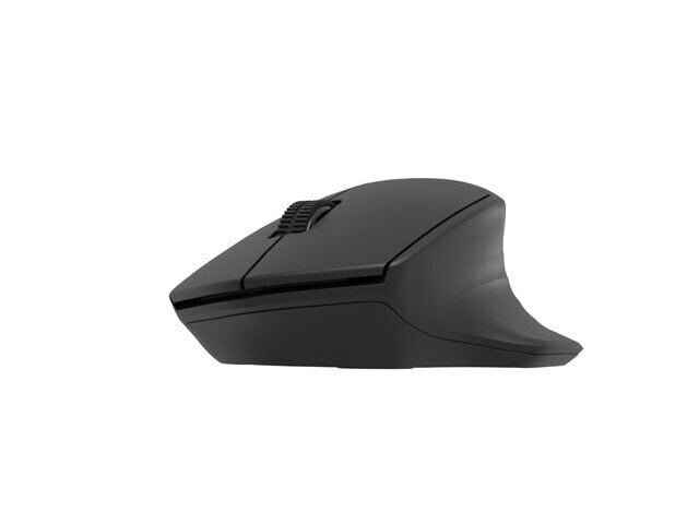 Natec Mouse Siskin 2 Wireless hind ja info | Hiired | kaup24.ee