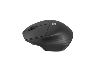 Natec Mouse Siskin 2 Wireless hind ja info | Hiired | kaup24.ee