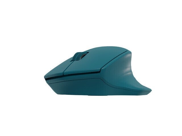 Natec Mouse Siskin 2 Wireless цена и информация | Hiired | kaup24.ee