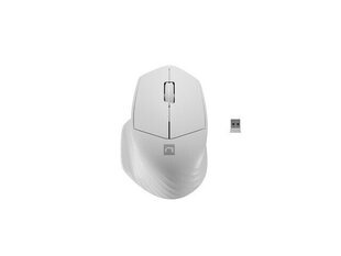 Natec Mouse Siskin 2 Wireless hind ja info | Hiired | kaup24.ee