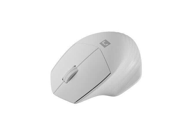 Natec Mouse Siskin 2 Wireless цена и информация | Hiired | kaup24.ee