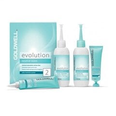 Набор для химической завивки волос Goldwell комплект Evolution Natural Wave Type 2: базовый лосьон, 60 мл + активирующий лосьон, 100 мл + фиксатор, 20 мл + промежуточное средство, 30 мл цена и информация | Средства для укладки волос | kaup24.ee