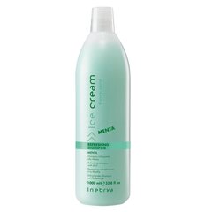 Увлажняющий шампунь для волос, для ежедневного мытья Inebrya Ice Cream Frequent Refreshing Shampoo с мятой, 1000 мл цена и информация | Шампуни | kaup24.ee