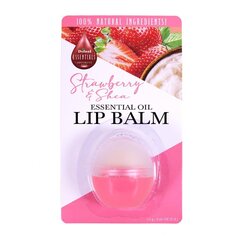 Huulepalsam Difeel Essential Oil Lip Balm eeterlike õlidega Strawberry& Shea, 7,5g цена и информация | Помады, бальзамы, блеск для губ | kaup24.ee