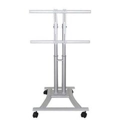 NewStar Mobile Flatscreen Floor Stand - (height: 80-120 cm) цена и информация | Кронштейны и крепления для телевизоров | kaup24.ee