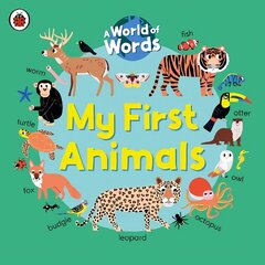 My First Animals: A World of Words hind ja info | Väikelaste raamatud | kaup24.ee
