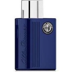 Туалетная вода Alfa Romeo Blue EDT для мужчин, 100 мл цена и информация | Мужские духи | kaup24.ee