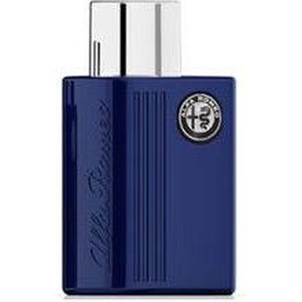 Parfüümvesi Alfa Romeo Blue EDT meestele, 100 ml hind ja info | Meeste parfüümid | kaup24.ee