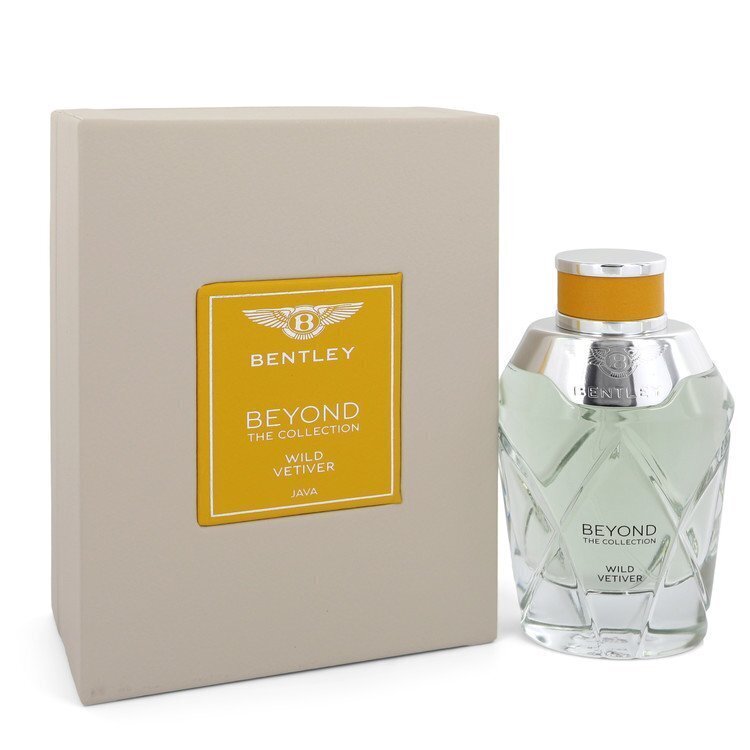 Parfüümvesi Bentley Wild Vetiver EDP meestele/naistele, 100 ml hind ja info | Meeste parfüümid | kaup24.ee
