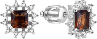 Блестящие серебряные серьги Beneto AGUP1520S цена и информация | Серьги | kaup24.ee