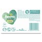 Niisked salvrätikud Pampers Coconut Harm Free, 9x42 tk. цена и информация | Niisked salvrätikud | kaup24.ee