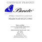 Beneto Exclusive Hõbedast kõrvarõngad safiiridega SAFAGUC1941 hind ja info | Kõrvarõngad | kaup24.ee