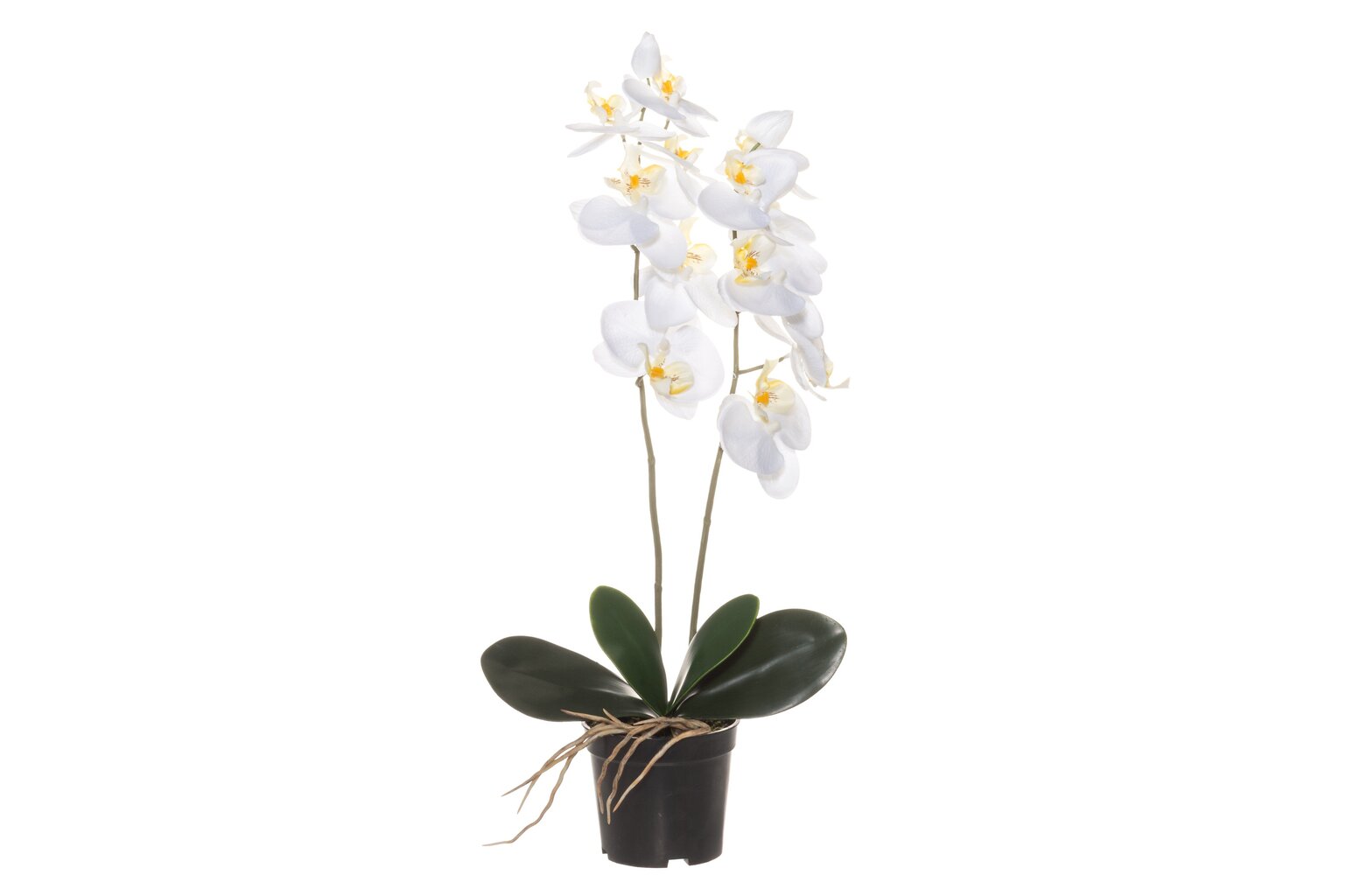 Kunstlik orhidee potis 59 cm hind ja info | Kunstlilled | kaup24.ee