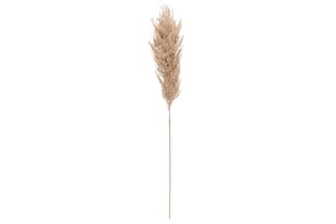 Пампасная трава коричневая 82 см цена и информация | Искусственные цветы | kaup24.ee