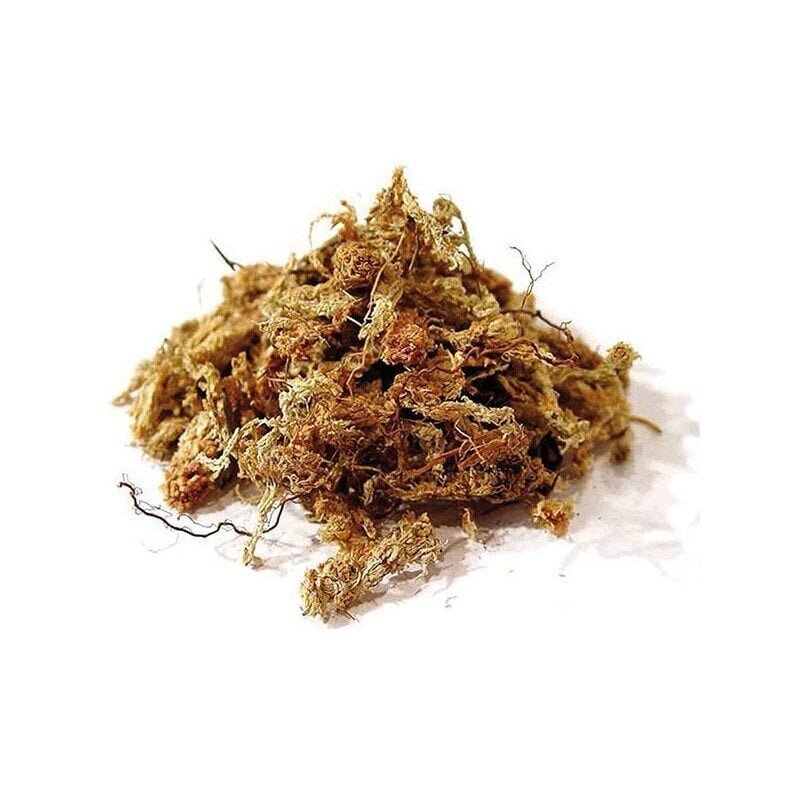 Turbasammal Spagmoss Spagnum, 1 kg hind ja info | Kunstlilled | kaup24.ee