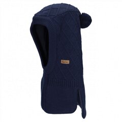 Кепка с козырьком, синяя цена и информация | Шапки, перчатки, шарфы для мальчиков | kaup24.ee