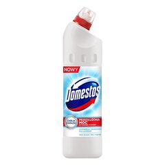 Чистящее и дезинфицирующее средство Domestos Extended Power White and Shine, 750 мл цена и информация | Очистители | kaup24.ee