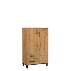 Шкаф ADRK Furniture POL15, коричневый цена и информация | Шкафы | kaup24.ee