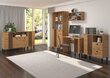 Vitriin ADRK Furniture LIV05, pruun hind ja info | Vitriinkapid | kaup24.ee