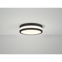 Потолочный светильник для ванной комнаты AZzardo Kari AZ4258 цена и информация | Потолочные светильники | kaup24.ee