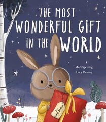 Most Wonderful Gift in the World цена и информация | Книги для малышей | kaup24.ee