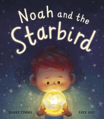 Noah and the Starbird hind ja info | Väikelaste raamatud | kaup24.ee