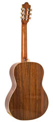 Klassikaline kitarr Condorwood C150 4/4 hind ja info | Kitarrid | kaup24.ee