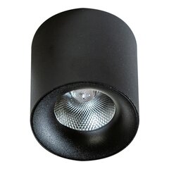 Потолочный светильник AZzardo Mane AZ4325 цена и информация | Потолочные светильники | kaup24.ee