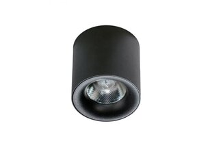 Потолочный светильник AZzardo Mane AZ4325 цена и информация | Потолочные светильники | kaup24.ee