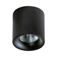Потолочный светильник AZzardo Mane AZ4156 цена и информация | Потолочные светильники | kaup24.ee