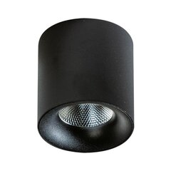 Потолочный светильник AZzardo Mane AZ4153 цена и информация | Потолочные светильники | kaup24.ee
