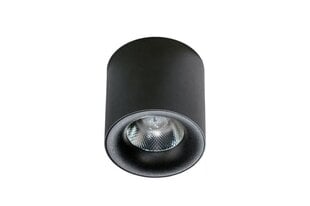 Потолочный светильник AZzardo Mane AZ4153 цена и информация | Потолочные светильники | kaup24.ee