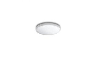 Потолочный светильник AZzardo Malta AZ4238 цена и информация | Потолочные светильники | kaup24.ee