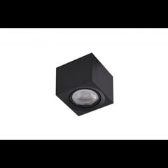 Потолочный светильник AZzardo Eco AZ4317 цена и информация | Потолочные светильники | kaup24.ee