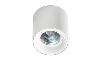 Потолочный светильник AZzardo Mane AZ4324 цена и информация | Потолочные светильники | kaup24.ee