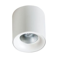 Потолочный светильник AZzardo Mane AZ4324 цена и информация | Потолочные светильники | kaup24.ee