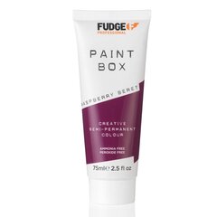 Poolpüsiv juuksevärv Fudge Paintbox Creative Semi-Permanent Colour Raspberry Beret, 75ml цена и информация | Краска для волос | kaup24.ee
