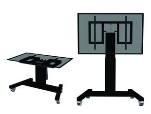 NEOMOUNTS motorized stand 42-100i tablet цена и информация | Кронштейны и крепления для телевизоров | kaup24.ee