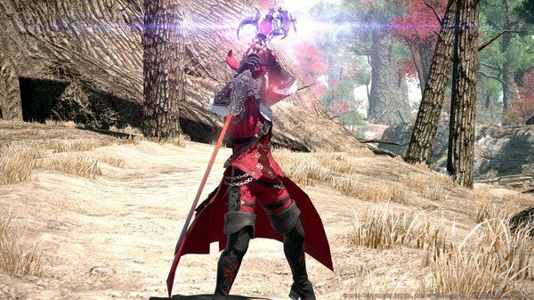 PlayStation 4 mäng Final Fantasy XIV Online Stormblood hind ja info | Arvutimängud, konsoolimängud | kaup24.ee