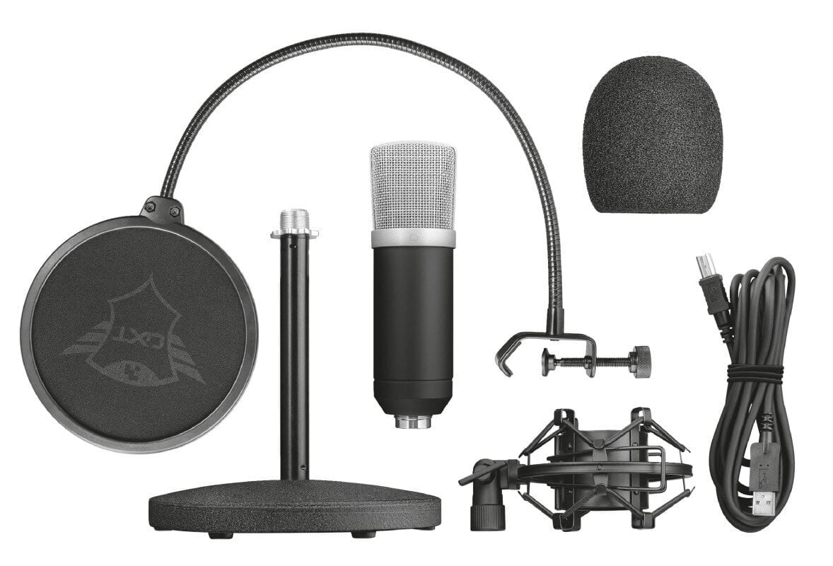 Stuudiomikrofon GXT 252 EMITA/21753 TRUST цена и информация | Mikrofonid | kaup24.ee