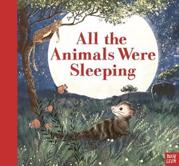 All the Animals Were Sleeping цена и информация | Книги для малышей | kaup24.ee