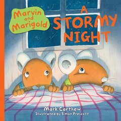 Marvin and Marigold: A Stormy Night цена и информация | Книги для малышей | kaup24.ee