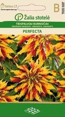 Kolmevärviline amarant Perfecta цена и информация | Зайцехвост яйцевидный | kaup24.ee